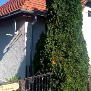 Fehér Ház Vendégház Kemence (3)