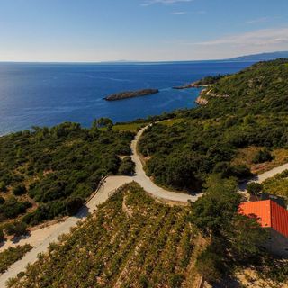 House Dingač Dingac Borak (5)