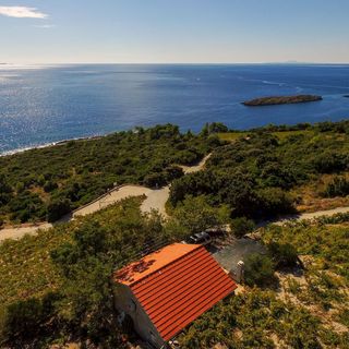 House Dingač Dingac Borak (2)