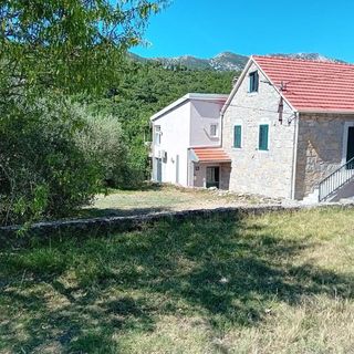 Apartment Green view Slime (3)