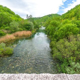 Apartment Green view Slime (2)