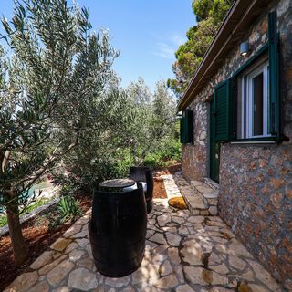 House Dingač Village Resort Dingac Borak (2)