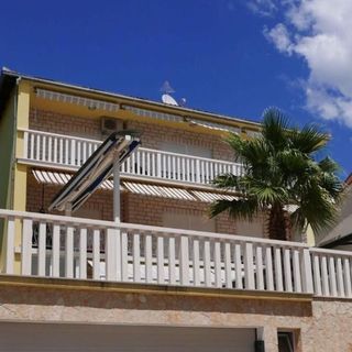 Apartment Palm tree Duce (5)