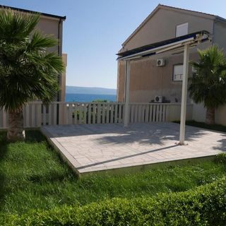 Apartment Palm tree Duce (4)