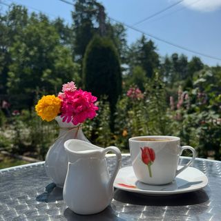 Pensiunea Bucuria Evei Curtea de Argeș (3)