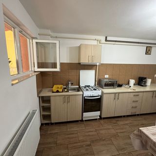 Pensiunea Bucuria Evei Curtea de Argeș (4)