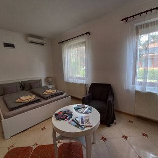 Lukács Apartman Gyula (4)