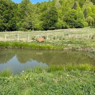 Cabana Turistică Izvorul Muntelui Budacu de Sus (5)