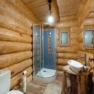 Rustic Chalet Călățele (2)