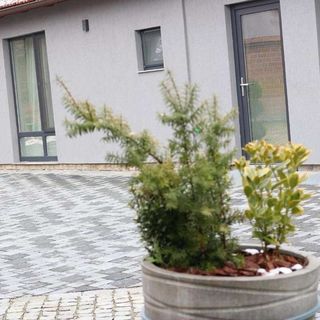 Apartament Tango la Piano House Alba Iulia (5)