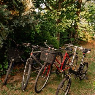 Zöld Vendégház Békésszentandrás (5)