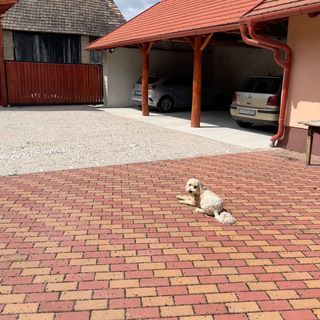 Kovács Vendégház Bakonyszombathely (3)