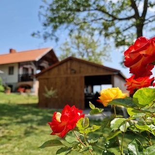 Placc333 Rédics (3)