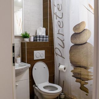 Apartment Sofya's Home Sighișoara (2)