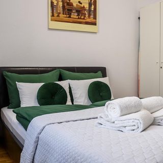 Apartment Sofya's Home Sighișoara (5)