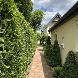 Centrum Panzió Debrecen (5)