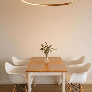 Iris Thermal Apartment Băile Felix (3)