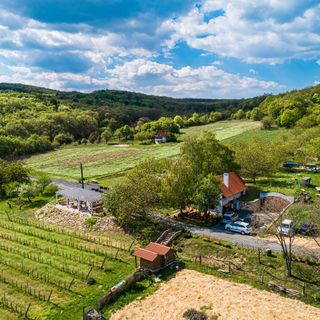 Tagyon Birtok Tulipán Apartmanház Tagyonhegy (5)