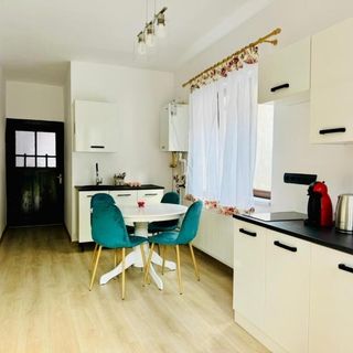 Maria Studio And Apartment Sighișoara (2)