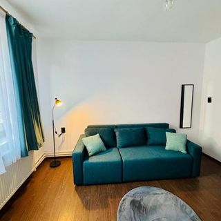 Maria Studio And Apartment Sighișoara (5)