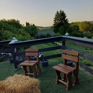 LídRind Porta Zalaszentgrót (5)