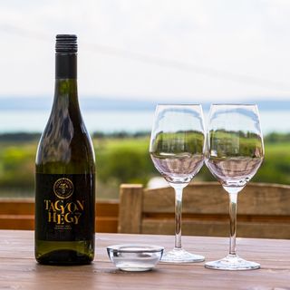 Tagyon Birtok Hordó Apartmanház Tagyonhegy (5)