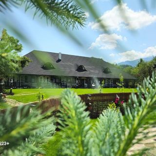 Pensiunea AGI Traditional Bran (5)