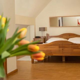 Hotel Vesta Centrum Konferencyjno Wypoczynkowe Jeleśnia (4)