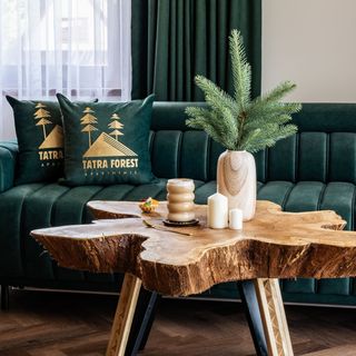 Tatra Forest Apartments Zakopane (4)