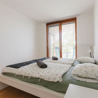 Golden Bridge Apartman and Wellness Balatonfüred (5)