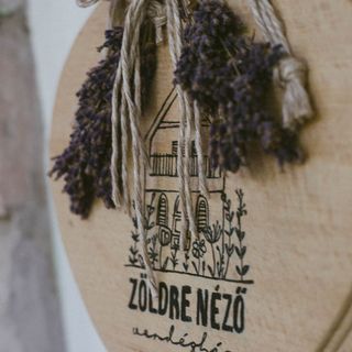 Zöldre Néző Vendégház Letkés (2)