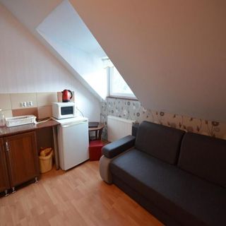Apartamenty i pokoje Pod Modrzewiem Duszniki Zdrój (2)