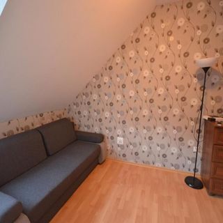 Apartamenty i pokoje Pod Modrzewiem Duszniki Zdrój (5)