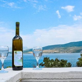 Apartments Niko Donji Karin (3)