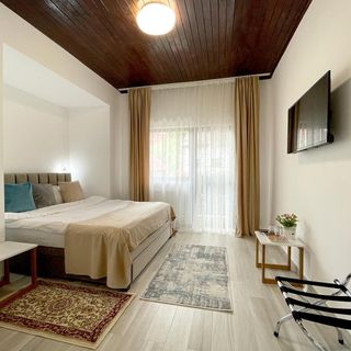 Vila Smaranda Predeal (4)