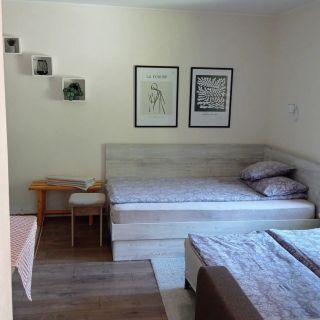 Casa Vandor Sovata (5)