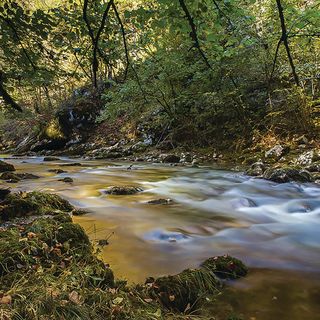 Vendégház Ravna Gora - CKB433 (4)