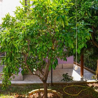 Apartman Viganj - CDP752 (5)