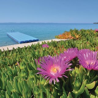 Apartman Kožino - CDY073 (5)