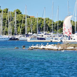 Vendégház Kanica - CSV364 (5)