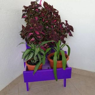 Apartment Rosa Supetar (4)