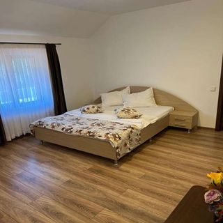 Casa Soporan Cluj-Napoca (4)