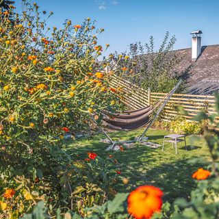 Vendégház Stegersbach - ABU222 (5)