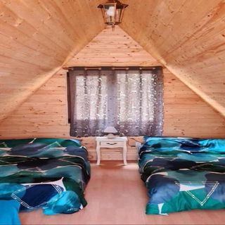 Chalets Pădure Moara de Pădure (5)