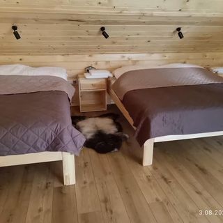 Apartament Pod Gwiazdami Czarny Dunajec (2)