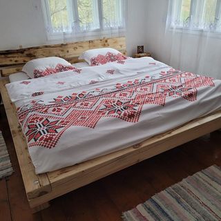 Casa Izvorul Rece Avram Iancu (3)