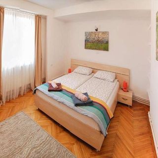 Apartament Stay Inn Center Timișoara (5)