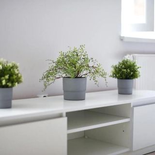 Perfect Stay - Apartament Horzyca 7 Toruń (4)