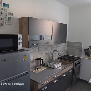 Családi Fészek Apartmanlakás Tiszafüred (4)