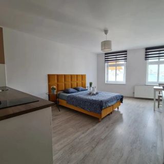 Perfect Stay - Apartament Horzyca 14 Toruń (2)